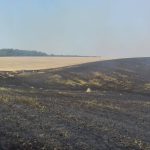 incendiu-vegetatie-pompieri (7)