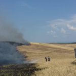 incendiu-vegetatie-pompieri (9)