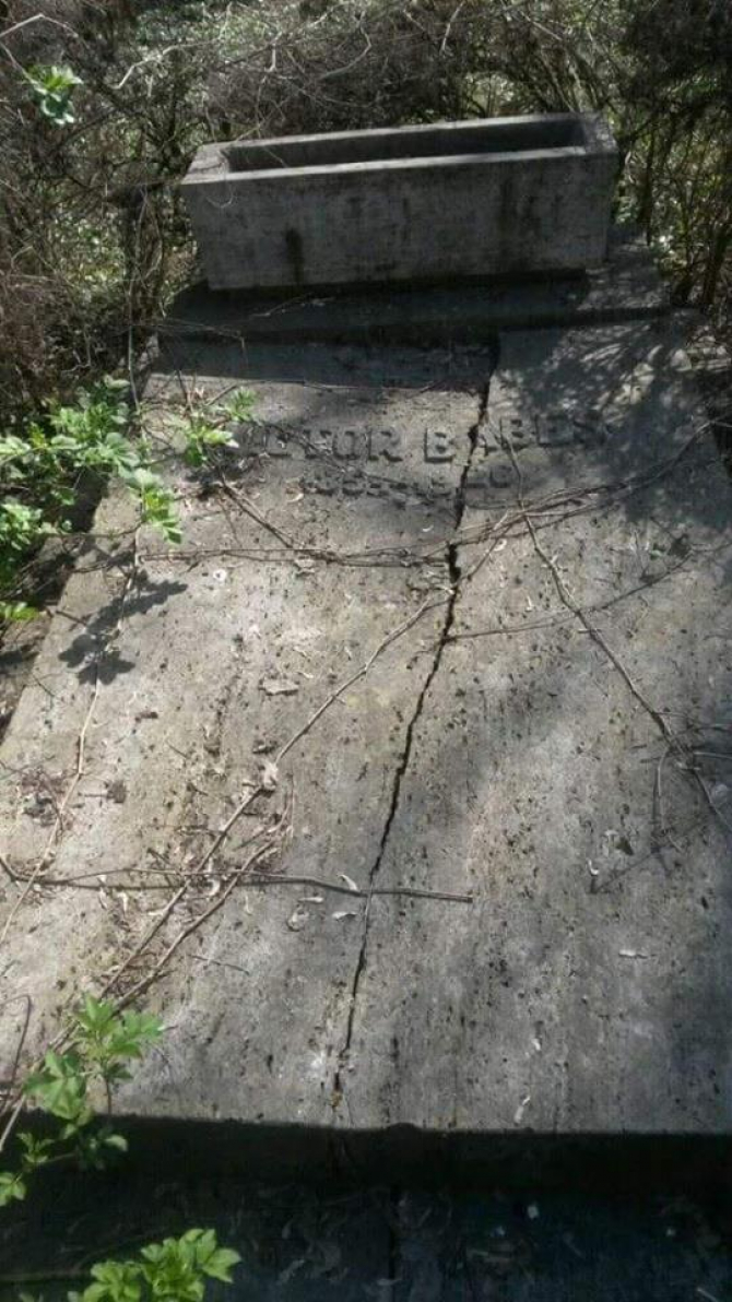 Cum arată locul de veci al unui mare savant al României. O universitate din Timișoara îi poartă numele