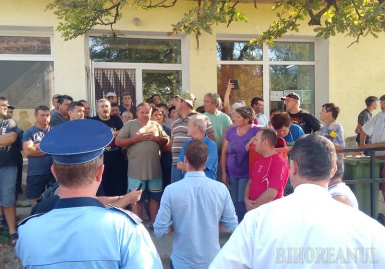Scandal într-un sat din vestul țării: Localnicii, revoltați că autoritățile vor să le omoare toți porcii!