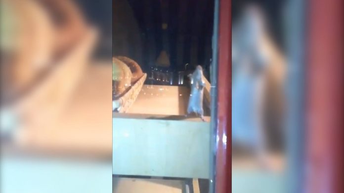 40613044_675064212858240_6065405042213519360_n