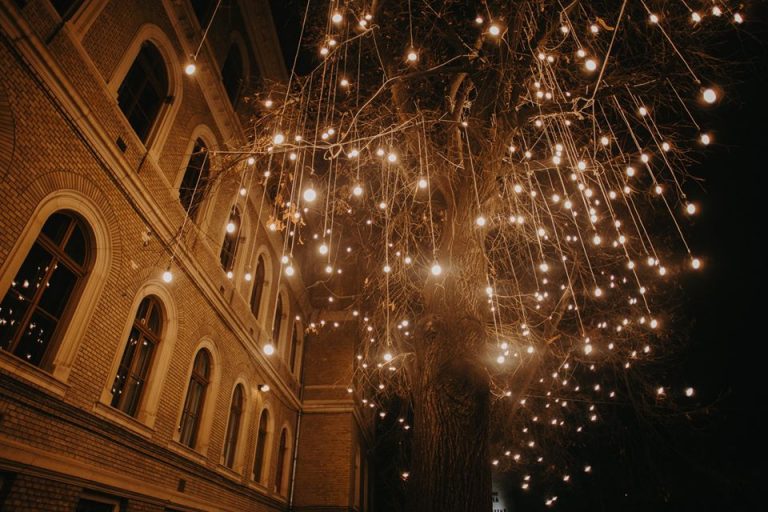 Lights ON, concursul pentru iluminatul festiv se lansează și în Timișoara