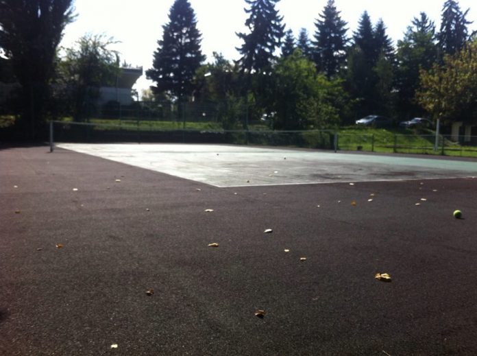 teren parcul rozelor