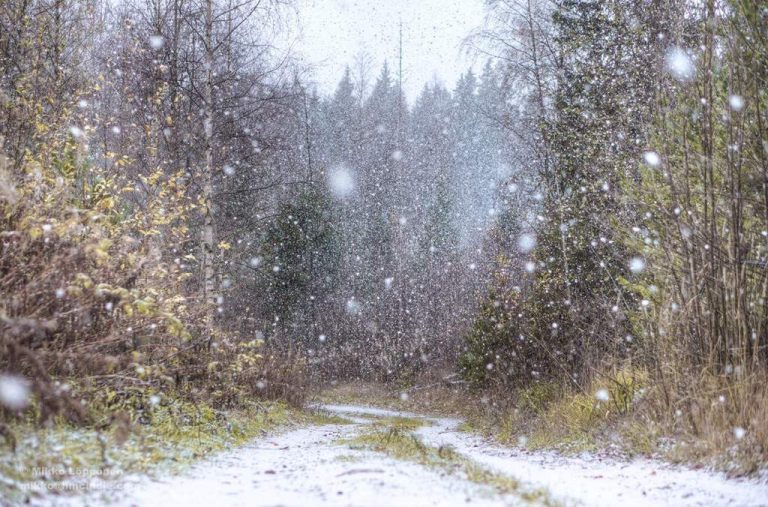 A nins la mai puțin de 150 de kilometri de Timișoara! Unde a căzut prima zăpadă în Banat