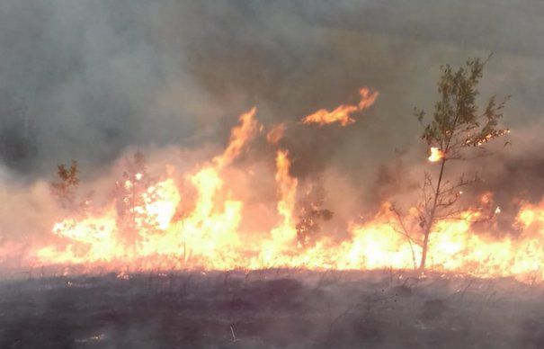Intervenție dificilă a pompierilor! Zeci de hectare incendiate în Banat