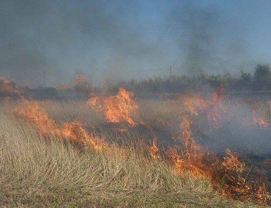 Incendiile de vegetație pot duce la catastrofe! Weekend de foc pentru pompierii din Timiș