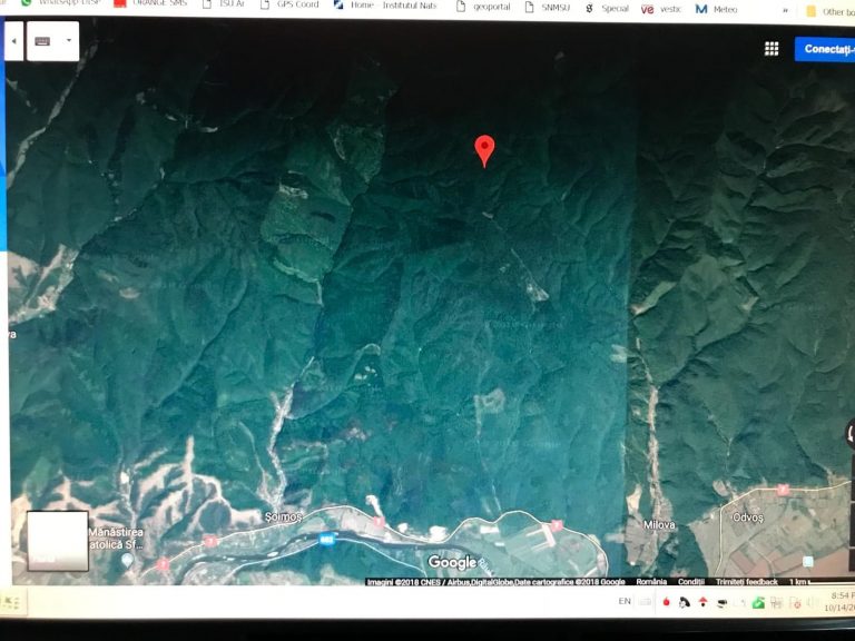 Motocicliști rătăciți noaptea, în pădure la Arad