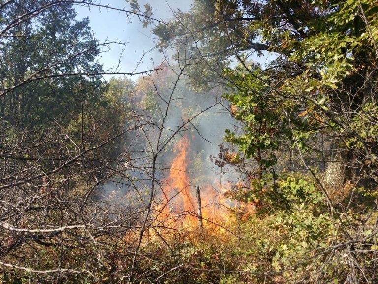 Toamna se numără incendiile de vegetație uscată. Foto-Video