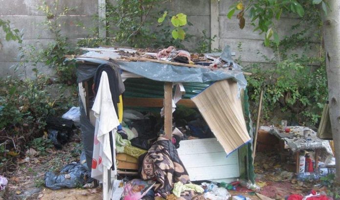 44115888_1746570098774394_3803629183435800576_n