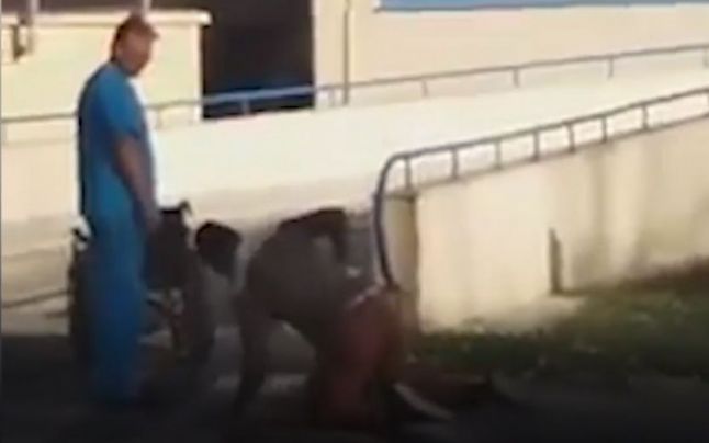 Anchetă la un spital din România. Pacientul se târăște în genunchi lângă un infirmier. VIDEO