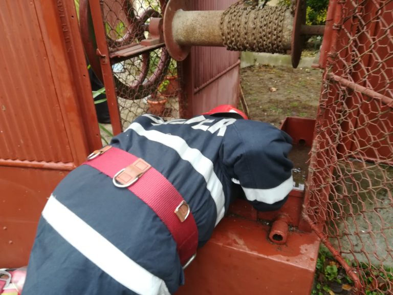 Orice viață contează! Intervenție rar întâlnită a pompierilor din vestul țării. Foto