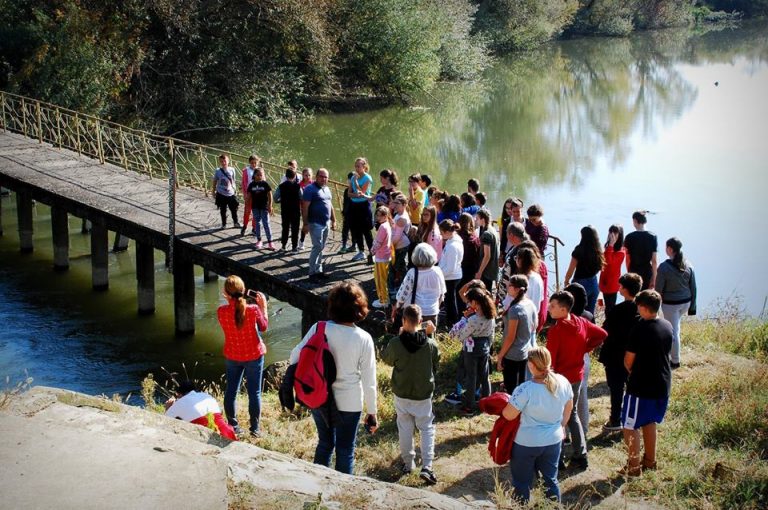 Râul Bega – axa de dezvoltare a județului, dar și mândrie a timișorenilor! Foto – Video