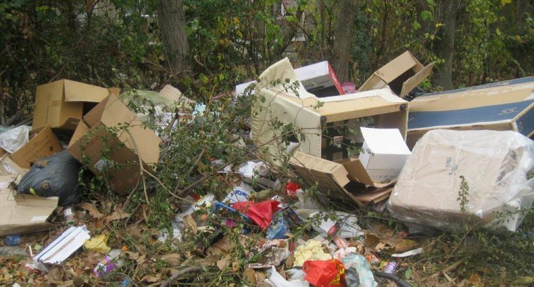 Cetățenii Capitalei Culturale rămân cu gunoiul sub nas. RETIM anunță încetarea serviciului de curățenie stradală în Timișoara