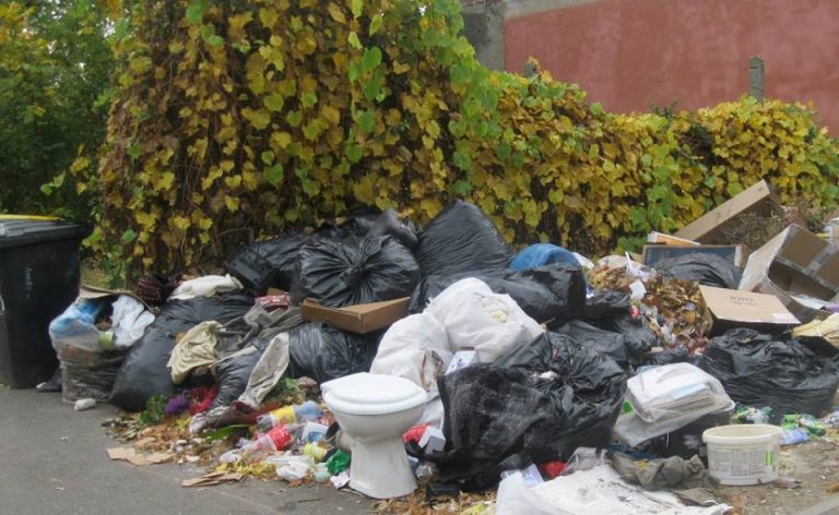 Rampele clandestine de gunoi apar ca ciupercile după ploaie, la Timișoara