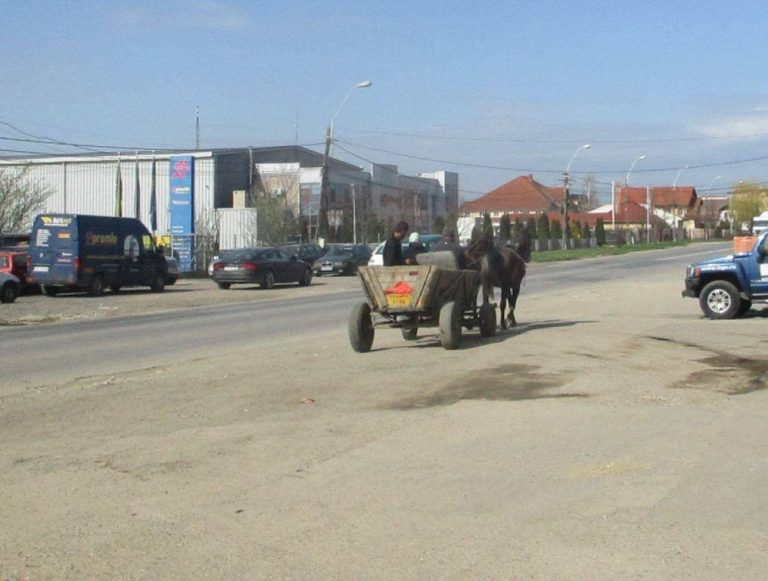 Peisaj de Capitală Culturală Europeană. Peste 100 de căruțe surprinse în trafic, în 2018