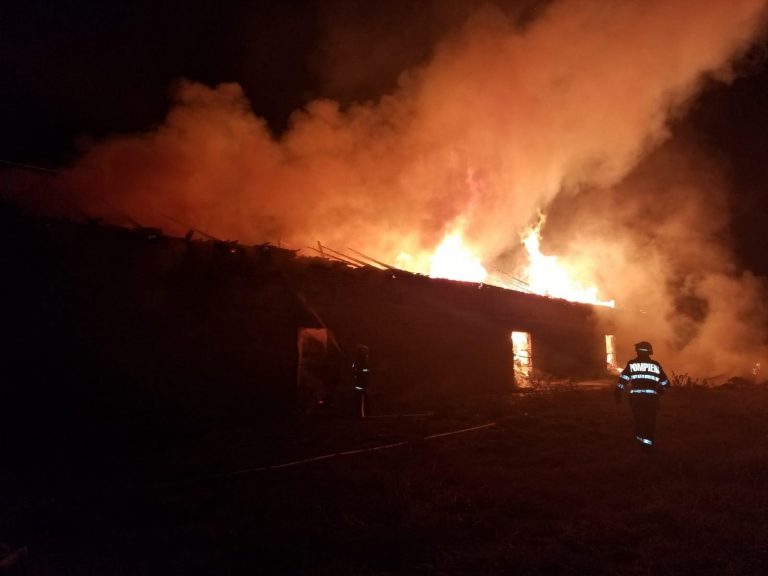 Incendiu de proporții la un fost CAP din Arad. Au ars zeci de tone de baloți. Foto-Video