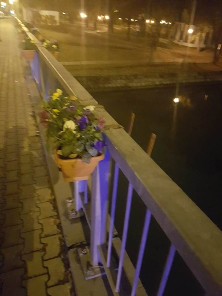 Ce amendă a primit un student spaniol pentru că a distrus jardinierele de pe Michelangelo