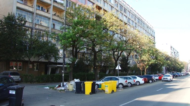 Programul de spălare a străzilor din Timișoara continuă