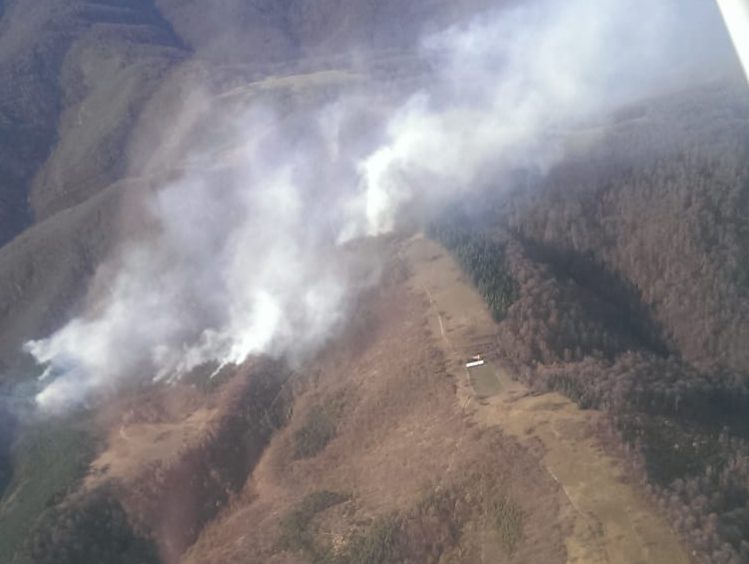Update: 10 hectare de pădure, înghițite de flăcări. Muntele Semenic arde în continuare