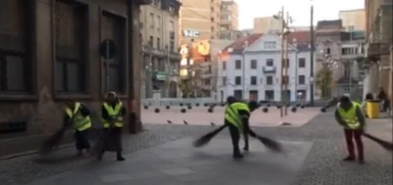 Șansă pentru străzi curate la Timișoara: asistații social, puși la muncă. VIDEO