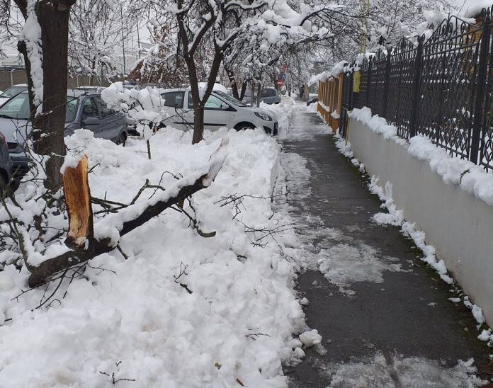 48368723_275602623097342_8266837877497790464_n