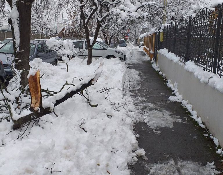 Sute de timișoreni somați să își curețe trotuarele. Ce amenzi riscă!