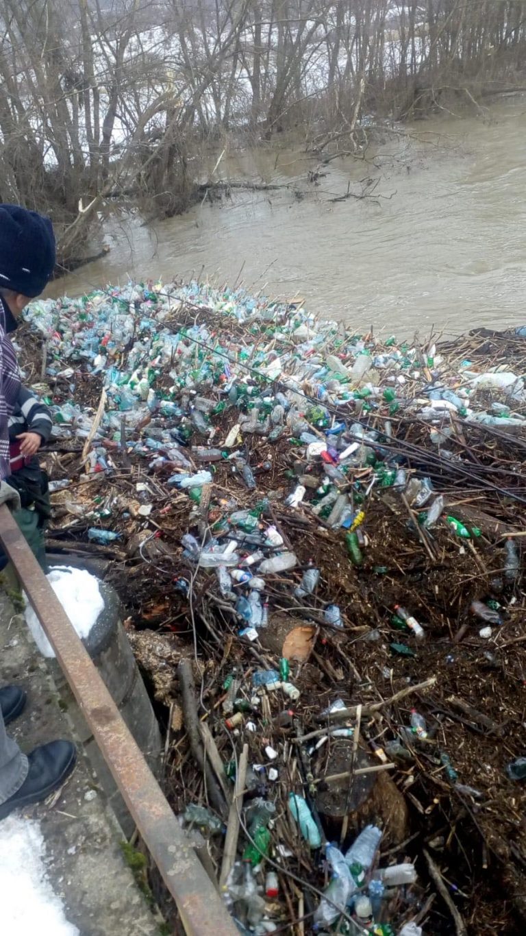 Alarmant! Pod colmatat de gunoaie și copaci în vestul țării. FOTO