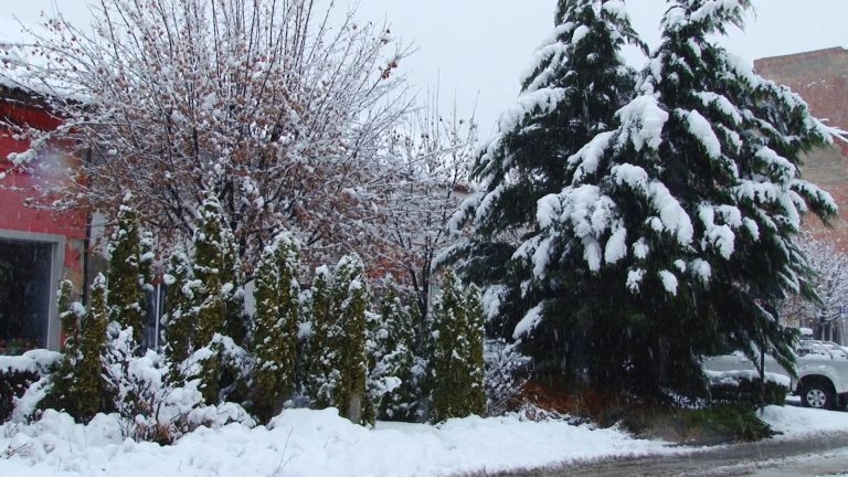 Cum va arăta vremea în Ajunul Crăciunului