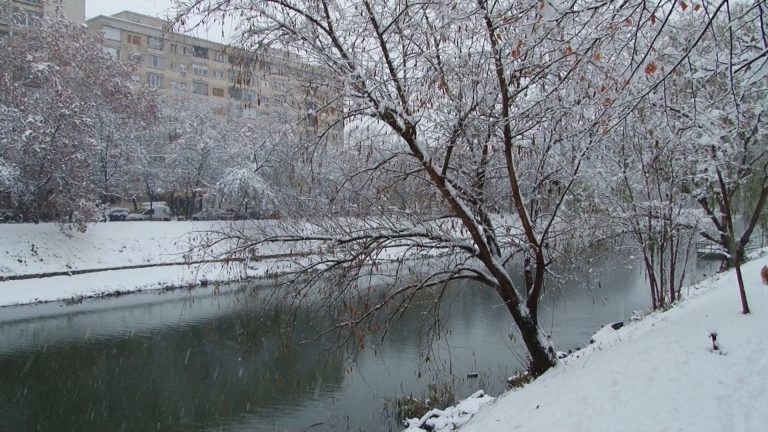 Alertă în Timiș, Arad și Bihor! După zăpadă și polei, urmează alt fenomen meteo periculos