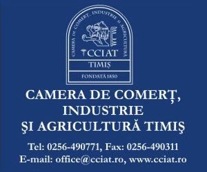 Anul 2019, în cifre, fapte, imagini