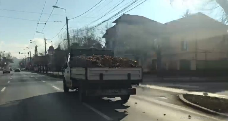 „Compania de împrăștiat frunze la câini”. Imagini incredibile filmate pe strada Cluj