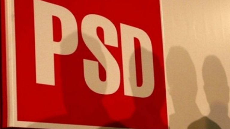 A fost ales președintele interimar al PSD Caraș-Severin