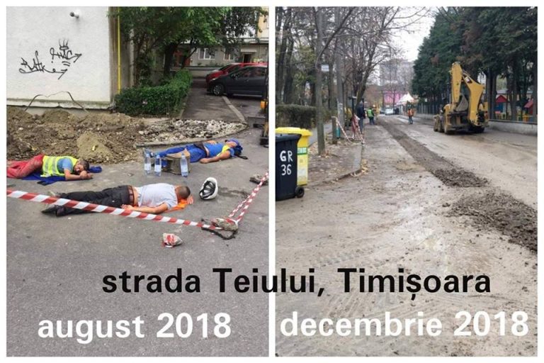 Timișorenii se plâng de asfaltări. Ultima nemulțumire, strada Teiului