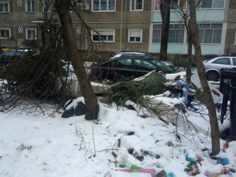 Asociațiile de proprietari, vinovate pentru gunoaie. Despre crengile rupte… nimic!