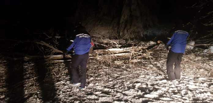 49781593_2013122535435921_1667448137012215808_n