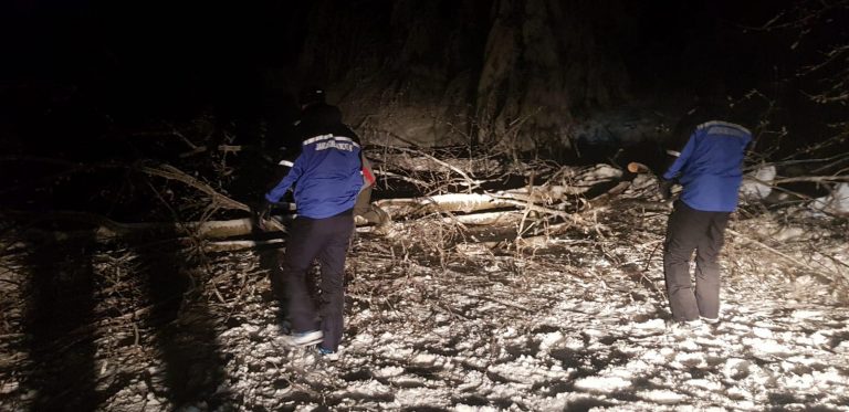 Drumul turistic spre Văliug și Semenic, curățat de jandarmii montani. Foto-Video