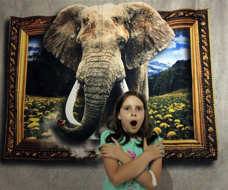 Magie sau știință? Muzeul Iluziilor Optice vine la Timișoara