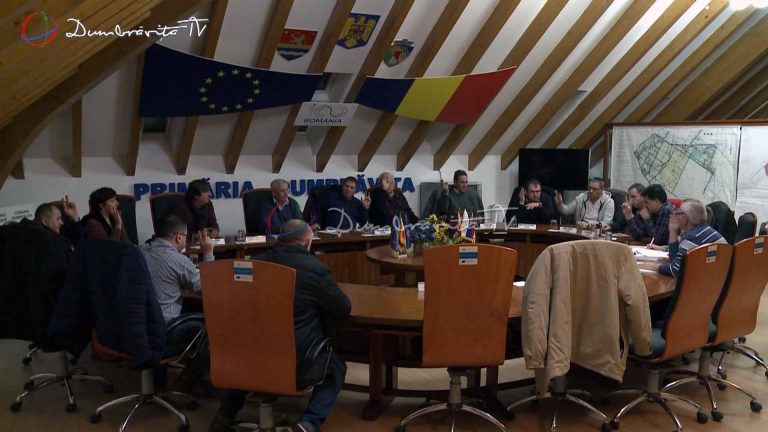Aleșii locali din Dumbrăvița au votat proiectul pentru construirea primei creșe în localitate. Video