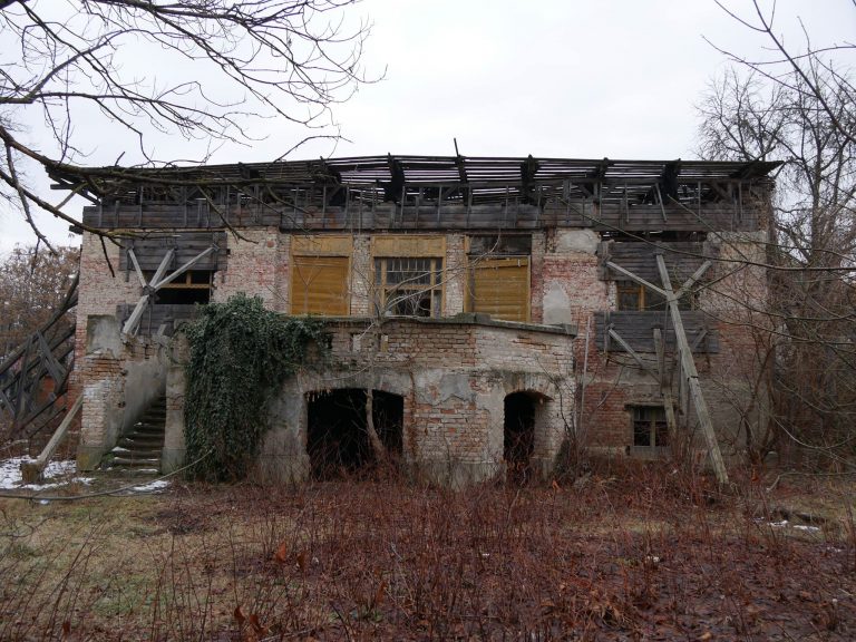 Casa rozelor din Timișoara, ruină în 2019