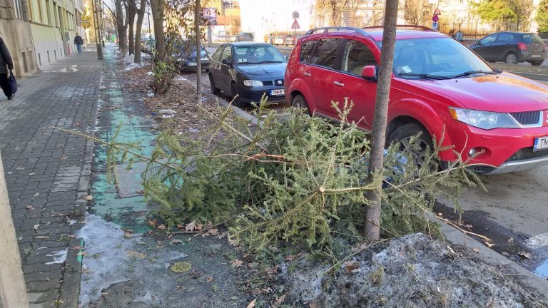 Nu abandonați brazii lângă pubele! Se colectează în patru puncte din Timișoara