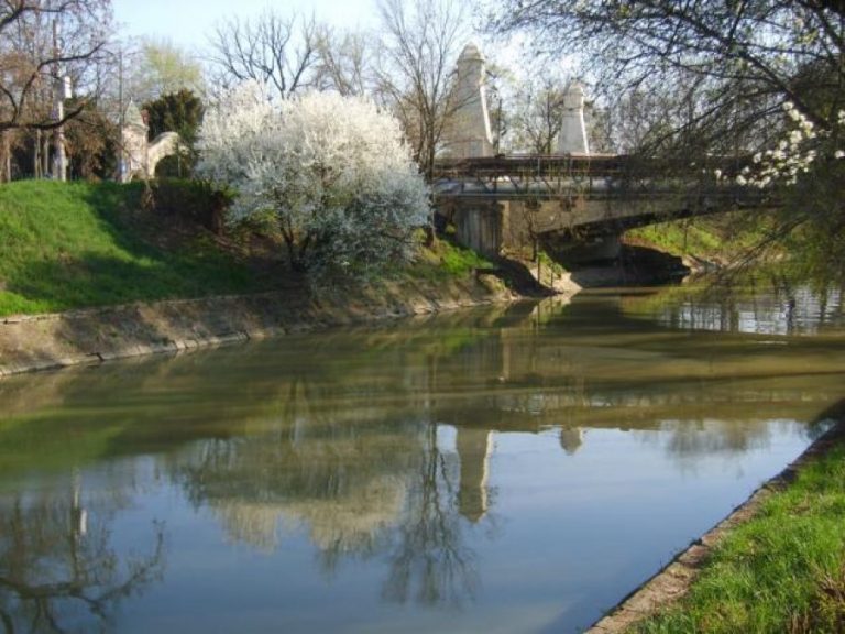 Implicarea publicului în realizarea celui de-al III-lea Plan de management al Spațiului Hidrografic Banat