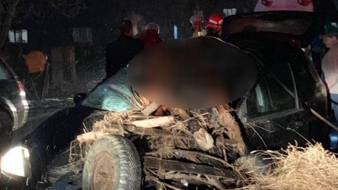 I-a intrat calul prin parbriz, după ce-a izbit violent o căruță!