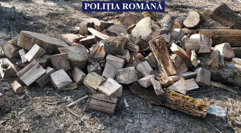 Lemnele pentru foc l-au costat o amendă de 5.000 de lei pe un bărbat din vestul țării