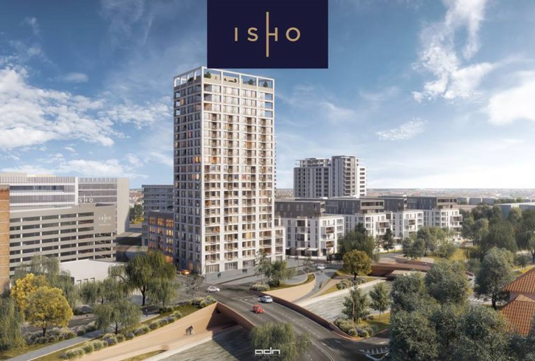 Control de la Imigrări pe șantierul clădirii ISHO de pe bulevardul Take Ionescu