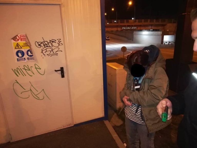 Americancă prinsă în miez de noapte vandalizând un transformator din Timișoara