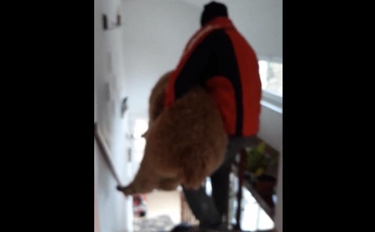 Marian Godină și-a luat animal exotic de la Arad. Cum arată Pablo