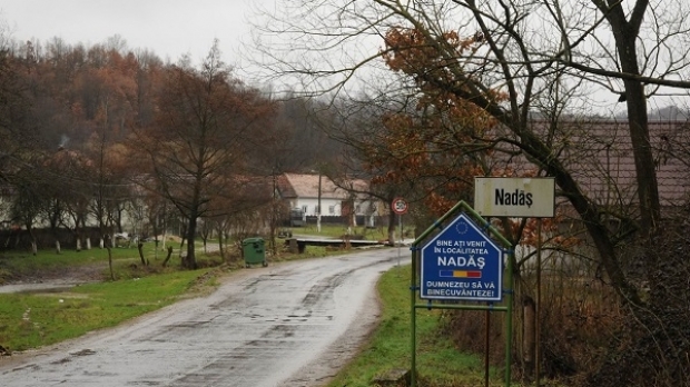 Prefectura Arad cere desființarea actului de moștenitor al familiei Colțeu, în cazul satului Nadăș