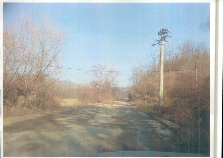 Protest din cauza gropilor pe cel mai prost drum din Banat. VIDEO