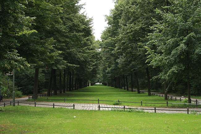 Copii și adolescenți români forțați de părinți să-și vândă trupurile într-un parc din Germania