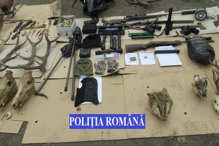 Arme de foc, arme albe, trofee și droguri găsite în casele mai multor timișeni arestați pentru braconaj